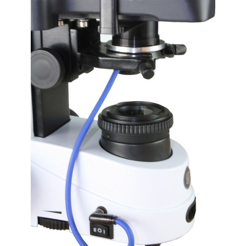 Euromex Microscopio iScope IS.1153-PLi/DFI, DF, trino, infinity, plan, 4x-100x, 100x iris, IOS, spring, iCare, LED, 3W