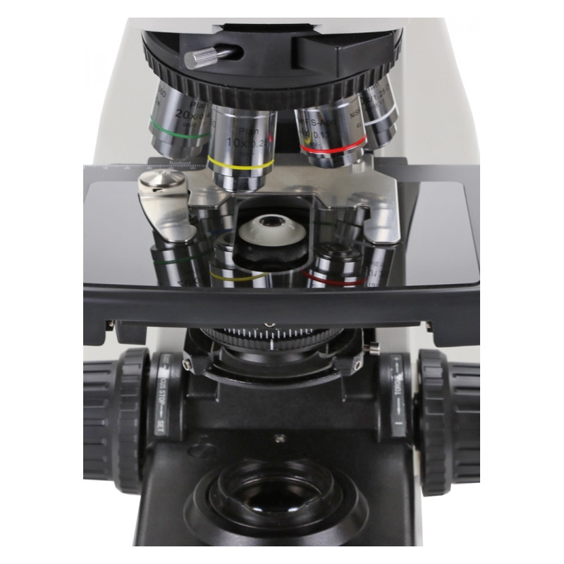 Euromex Microscopio DX.1153-APLi, trino, 40x - 1000x, fluarex