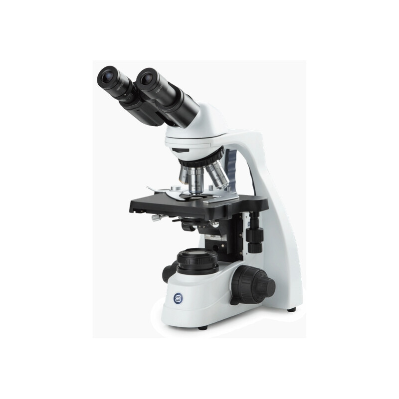 Euromex Microscopio BS.1152-EPL, bino, 40x-1000x