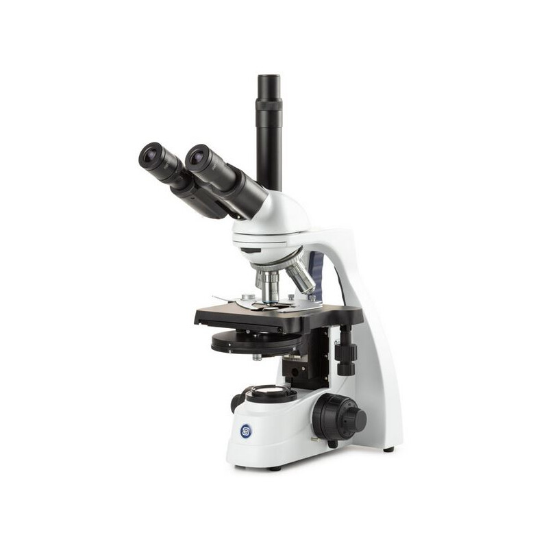 Euromex Microscopio BS.1153-EPLPH, trino, 40x-1000x