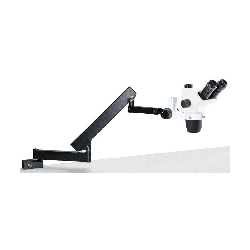 Euromex NZ.1703-AP, NexiusZoom EVO, 6,5x a 55x braccio articolato con morsetto da tavolo, senza illuminazione, trino