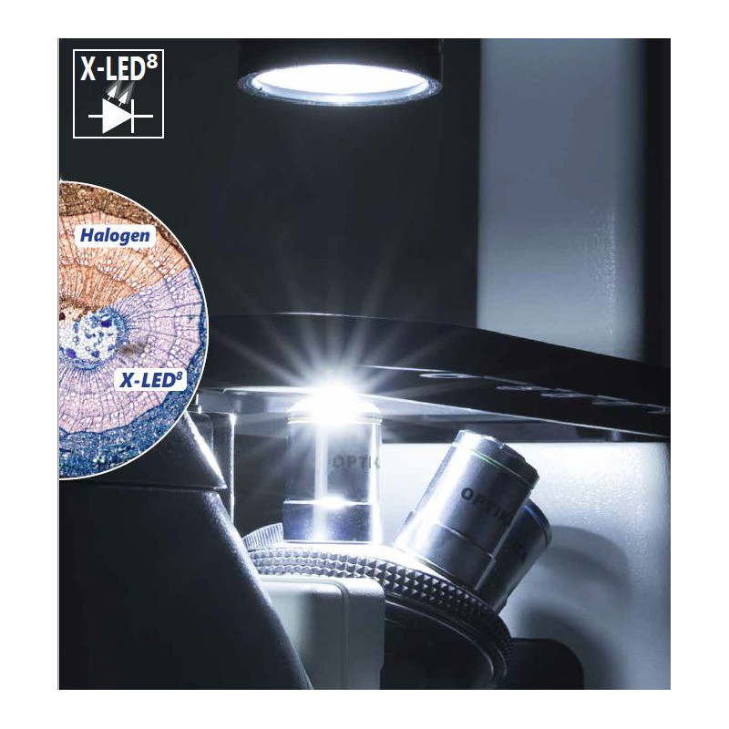 Optika Microscopio IM-3FL4-UK, trino, invertito, FL-HBO, filtro B&G, IOS LWD U-PLAN F, 100x-400x, UK