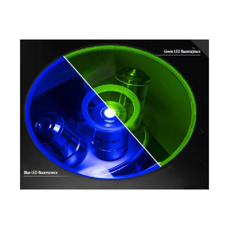 Optika Microscopio IM-3FL4-UK, trino, invertito, FL-HBO, filtro B&G, IOS LWD U-PLAN F, 100x-400x, UK