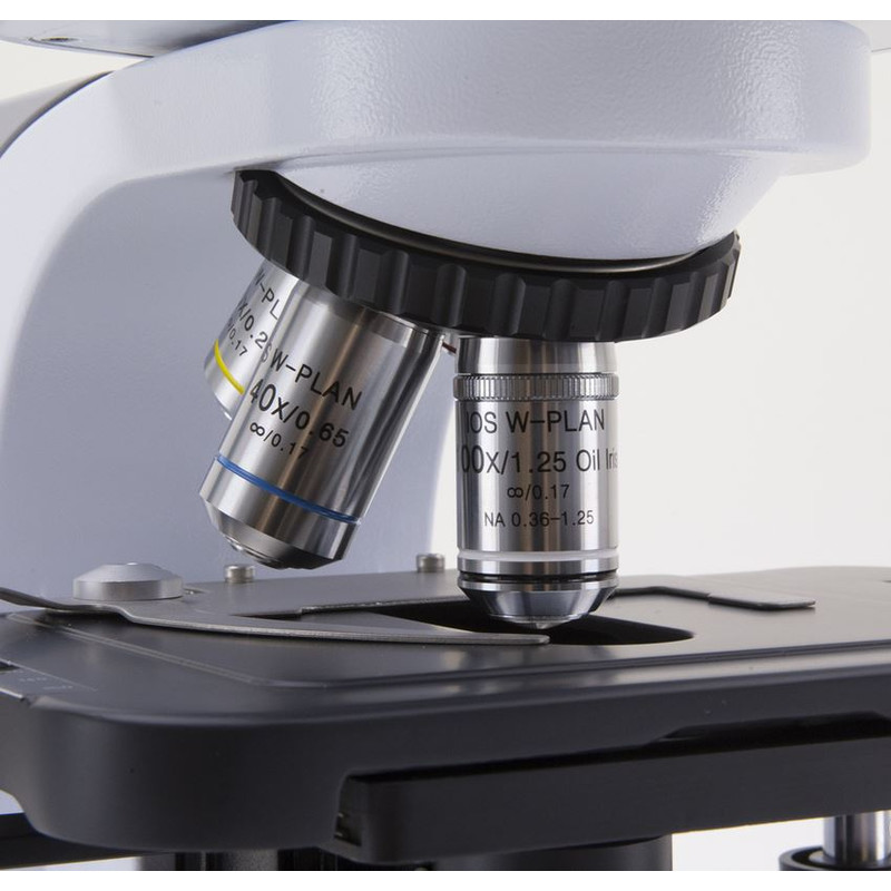 Optika Microscopio B-510DKIVD, trino, campo oscuro, W+W IOS, W+W, 40x-1000x, IVD