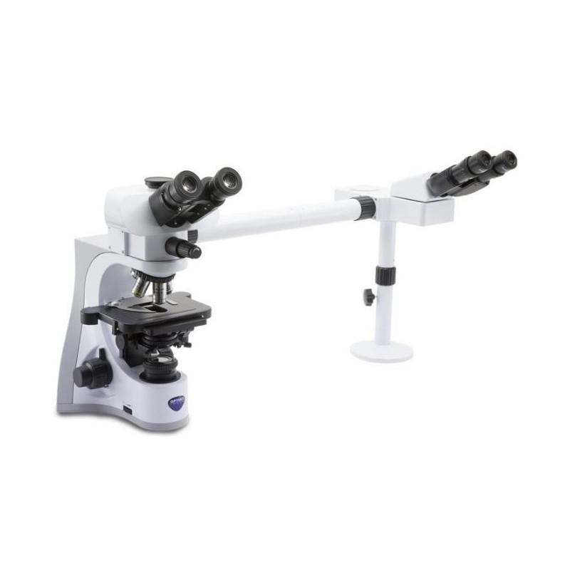 Optika Microscopio B-510-2IVD, trino, 2 teste, W+W IOS, 40x-1000x, IVD