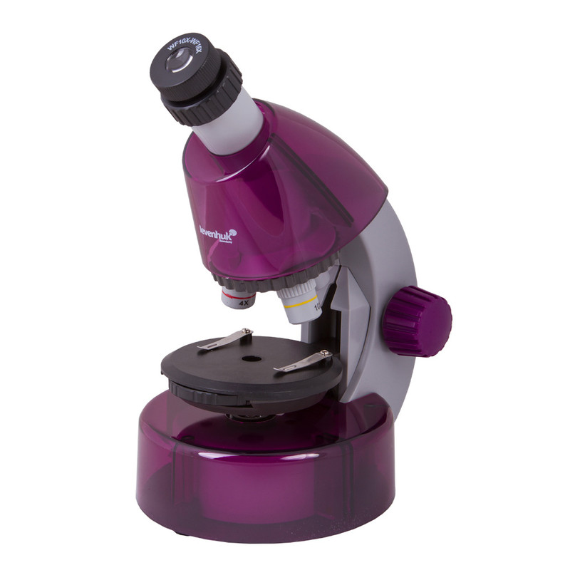 Levenhuk Microscopio LabZZ M101 Amethyst