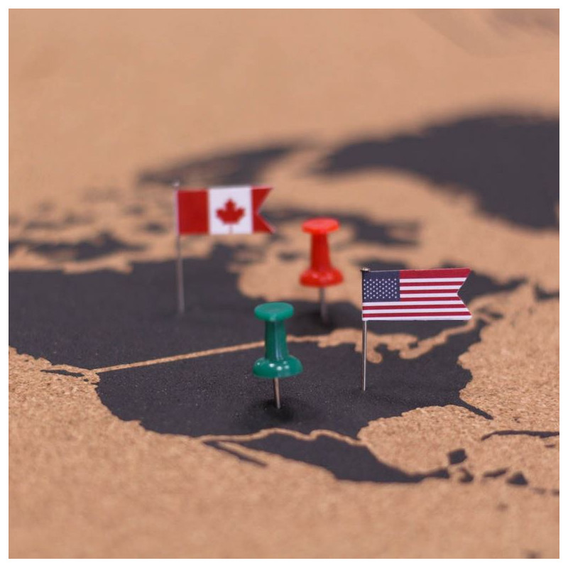Miss Wood Mappa del Mondo Woody Map Natural Cork L black