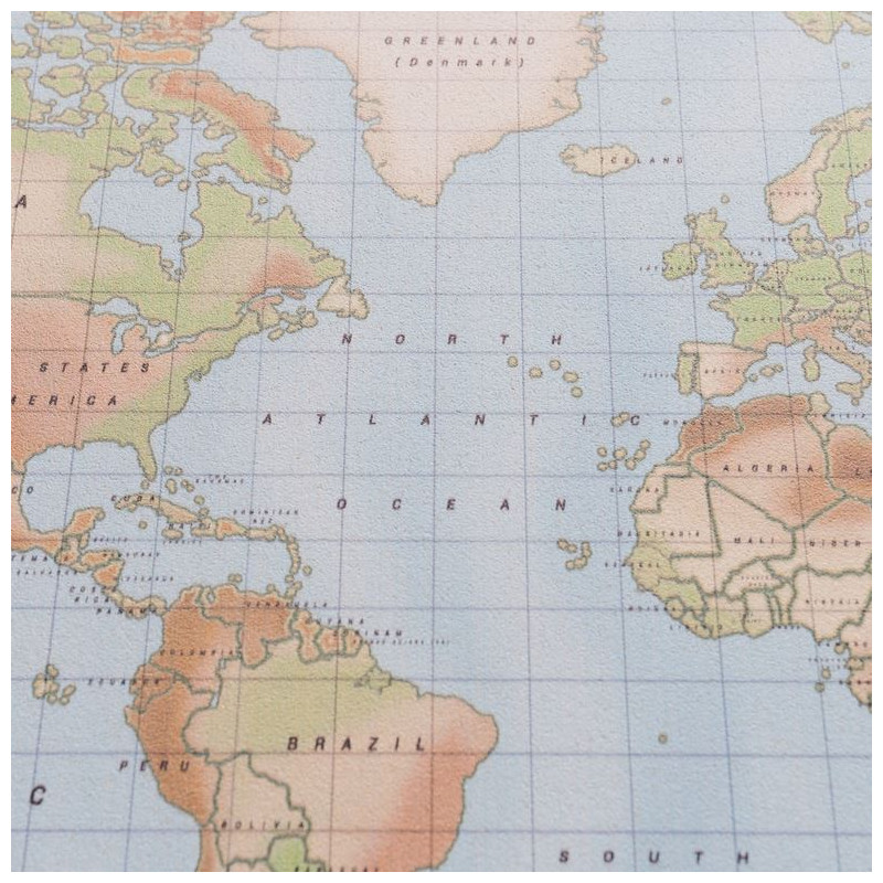 Miss Wood Mappa di Woody Acquerello Fisico L