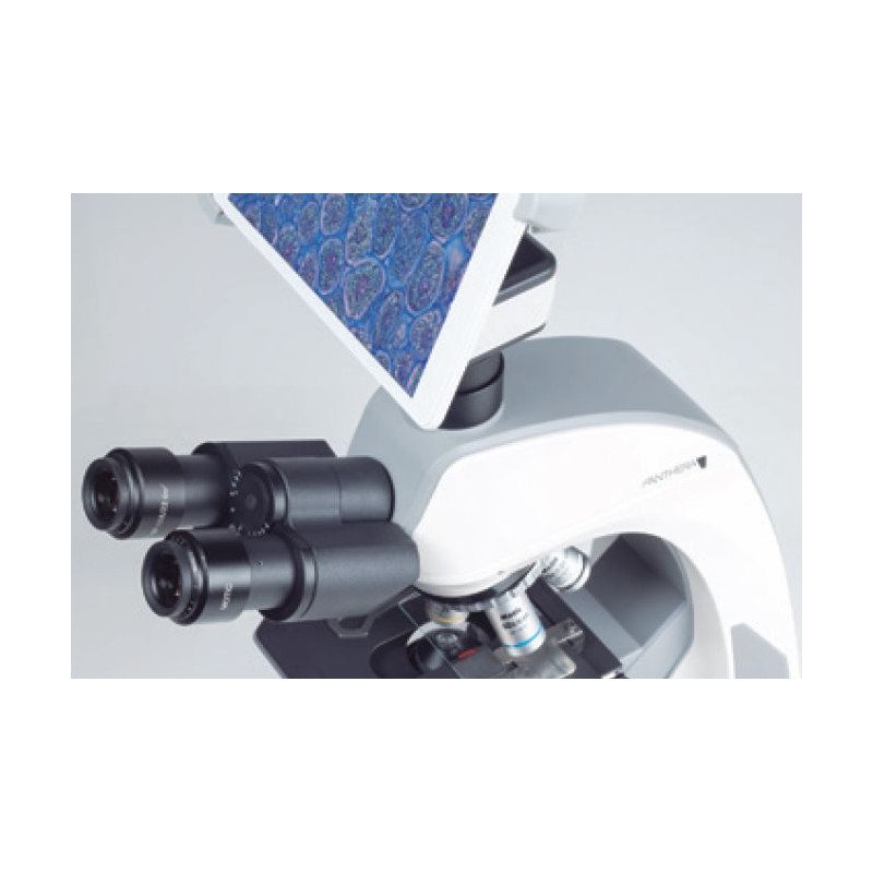 Motic Fotocamera Camma BTX8, 5.0MP, 8