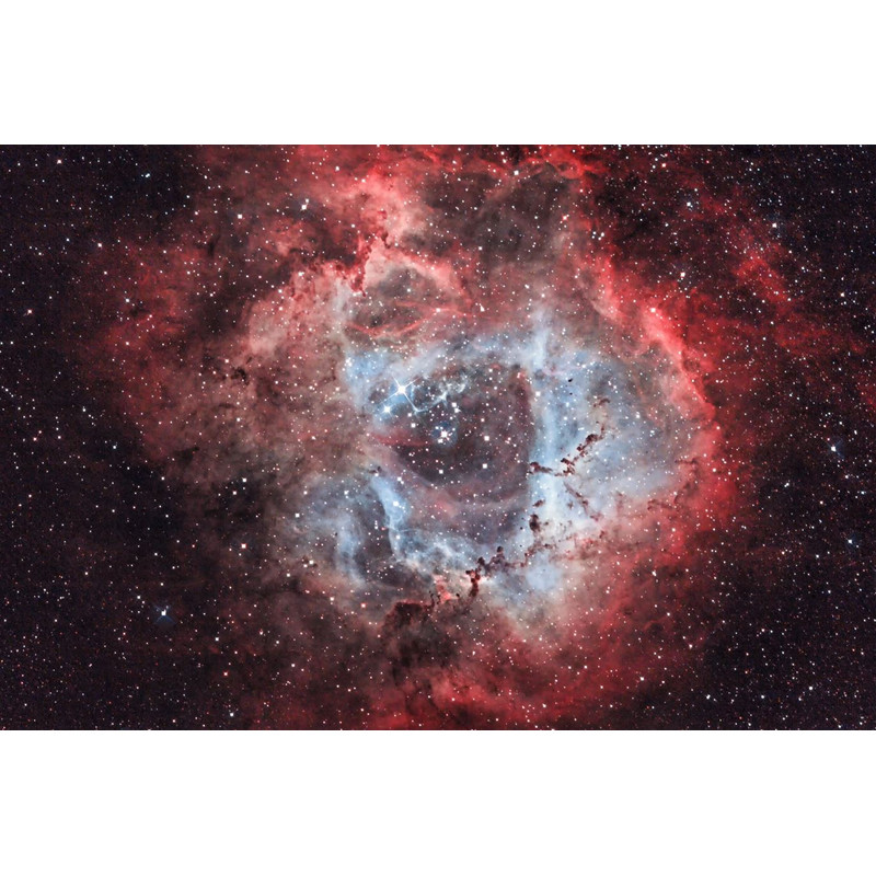 OPT Filtro Triad Ultra Quad-Band a banda stretta da 1,25 pollici