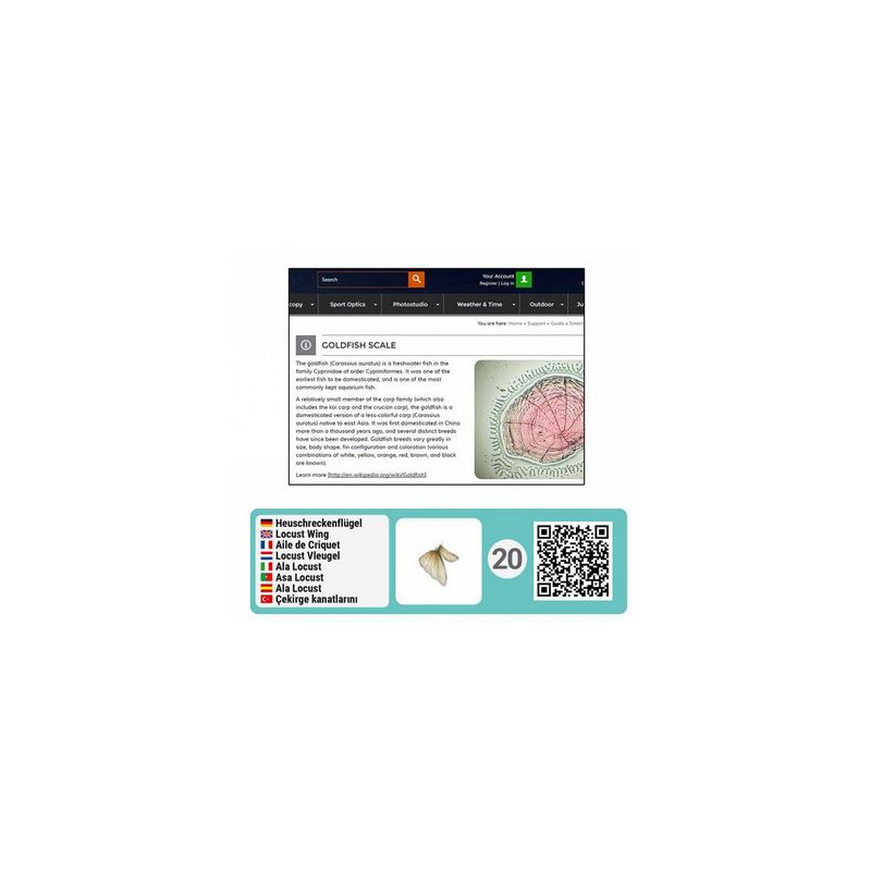 Bresser Junior Set di accessori per microscopi smart con codici QR