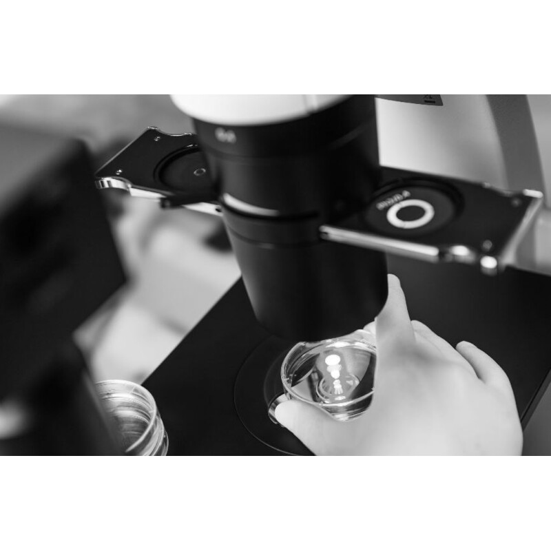 ZEISS Microscopio invertito Primovert trino PH1, 40x-400x