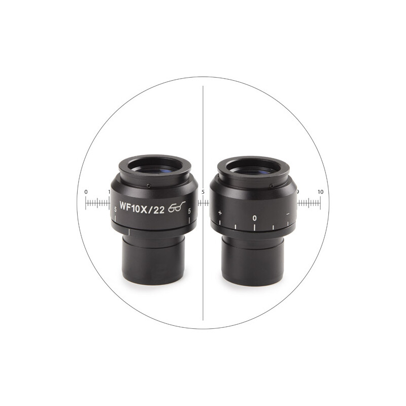 Euromex Oculare di misura Oculari NZ.6010-CM, 10x/22, 1 pz, (Nexius Zoom)