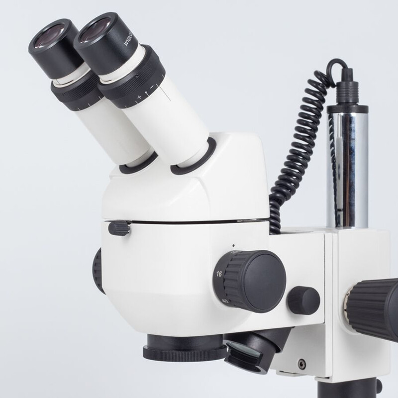 Motic Microscopio stereo zoom K-500 L, Binoculare, CMO, Luce riflessa e trasmessa, 6x-40x