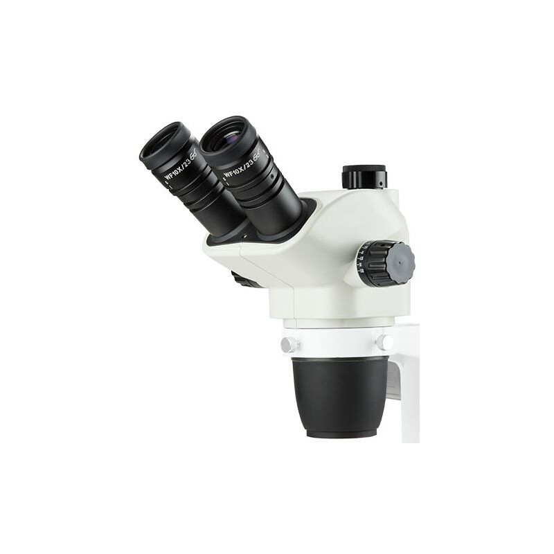 Euromex NexiusZoom EVO, trino, 6.5-55x, NZ.5313, Colonna di sostegno NZ.9005, Luce trasmessa a LED