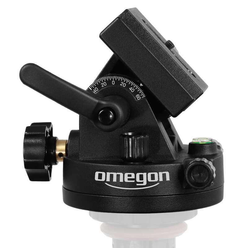 Omegon Testa equatoriale