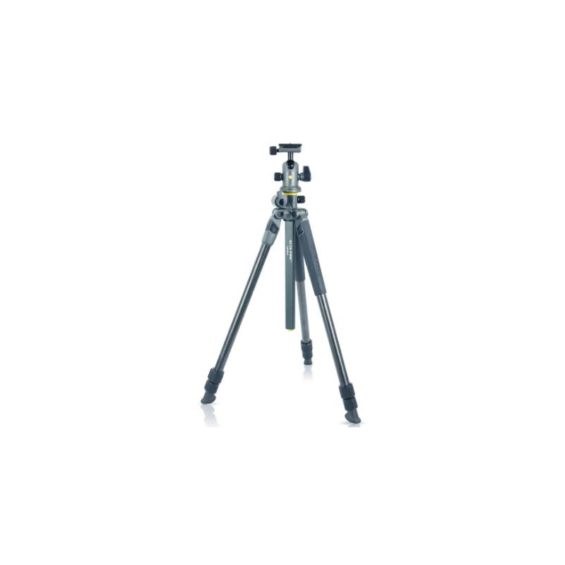 Vanguard Treppiede Carbonio Alta Pro 2+ 263CB 100