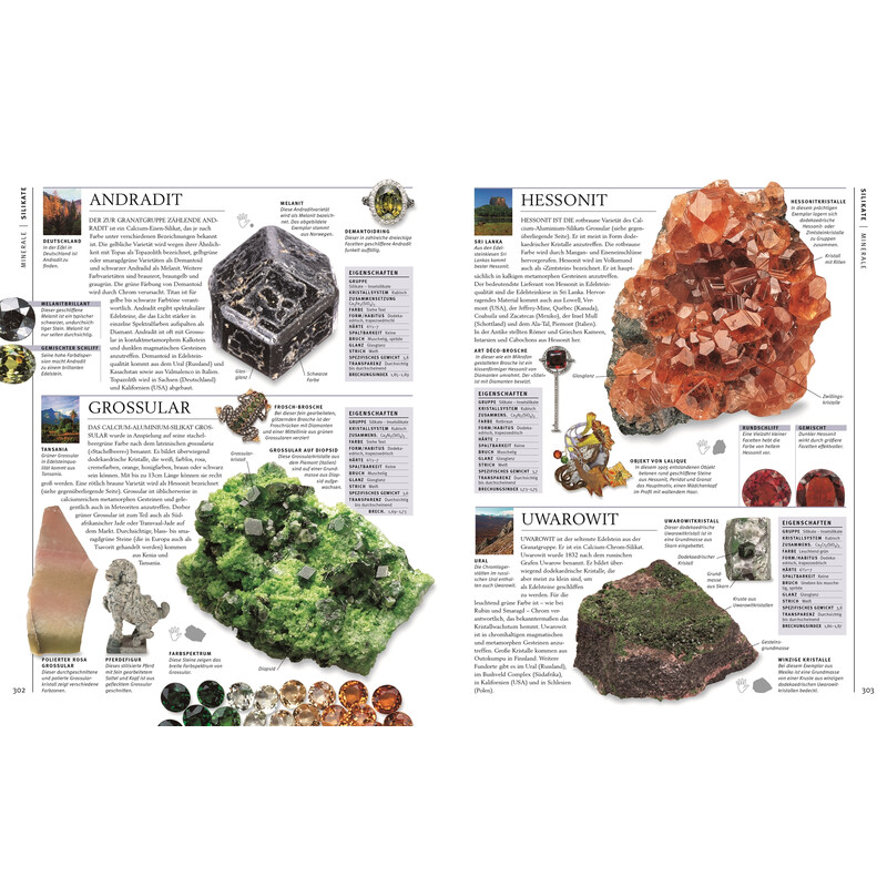 Dorling Kindersley Steiner & Minerali
