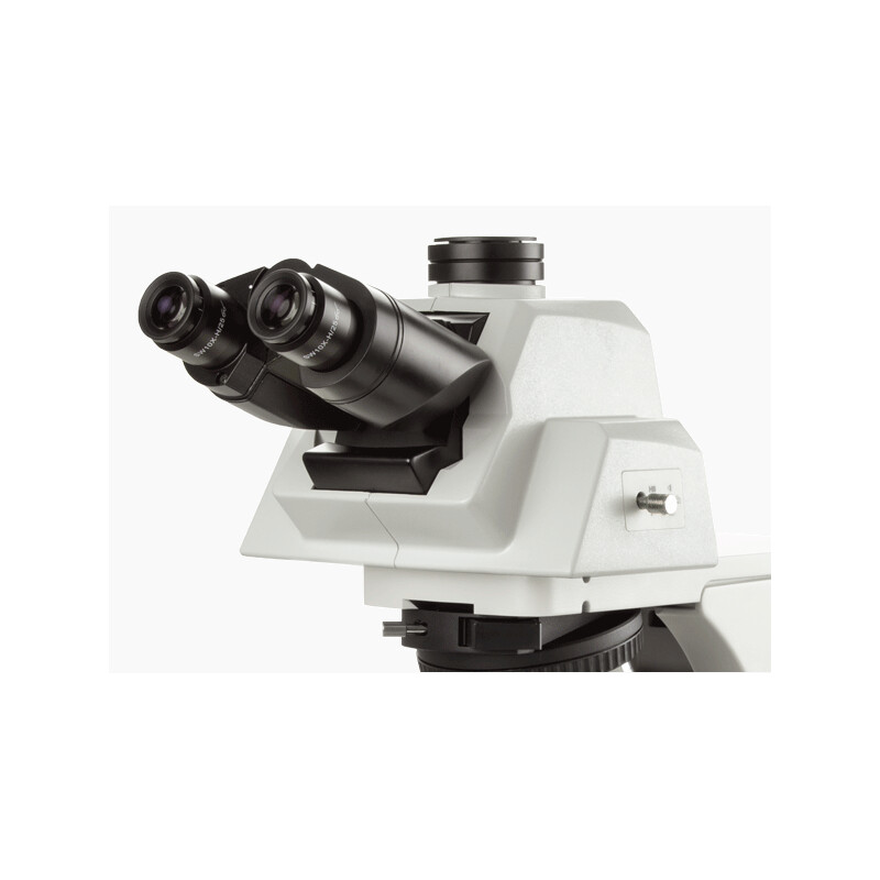 Euromex Microscopio Delphi-X, DX.2158-APLi, trino, 40x - 1000x, Planacromatico, con testa ergonomica e illuminazione alogena da 100 W