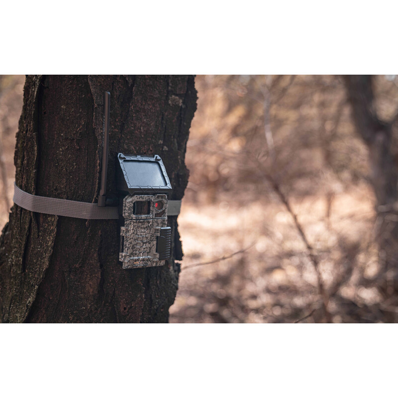 Spypoint Rilevatore di selvaggina Link-Micro-S LTE