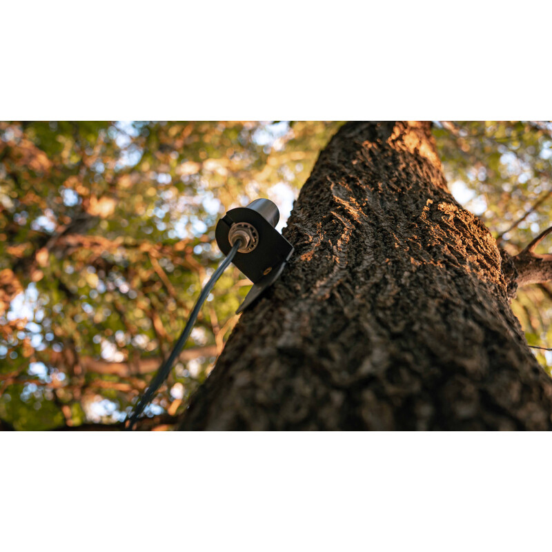Spypoint Antenna cellulare a lungo raggio