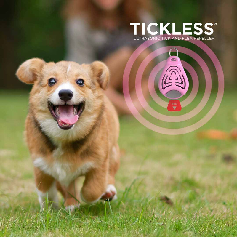 Tickless Animale domestico