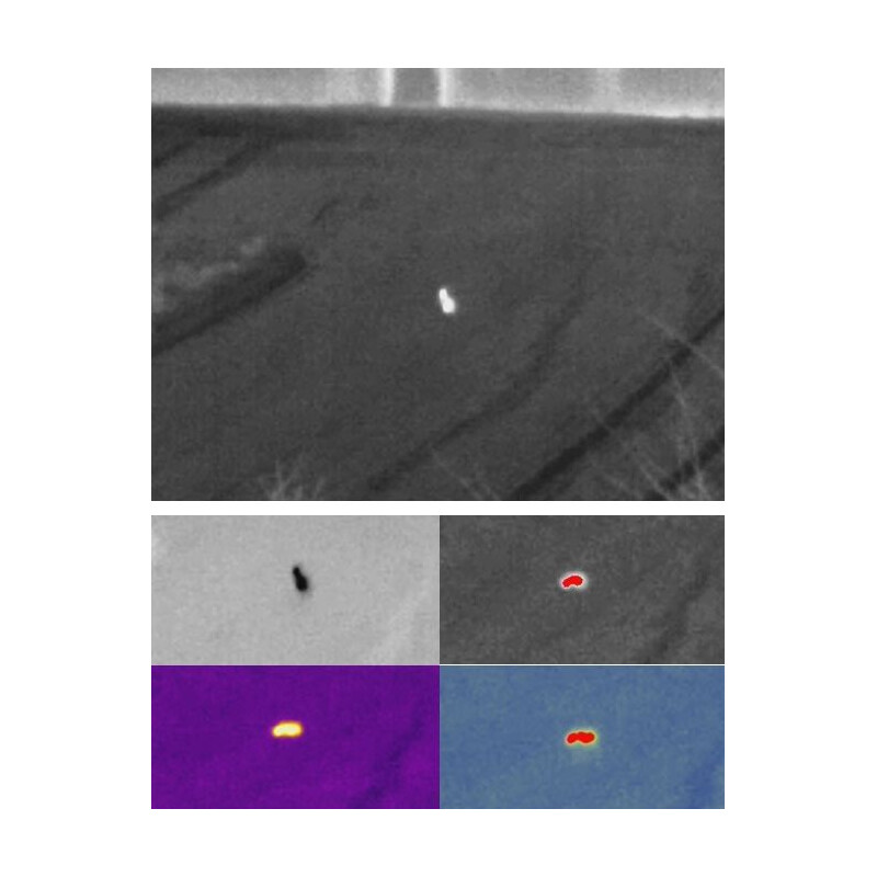 Guide Camera termica Dispositivo di imaging termico Track IR19 Pro