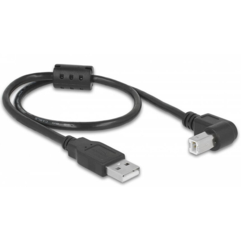 PegasusAstro Cavo Set cavi USB 2x USB2.0 Tipo B 50 cm