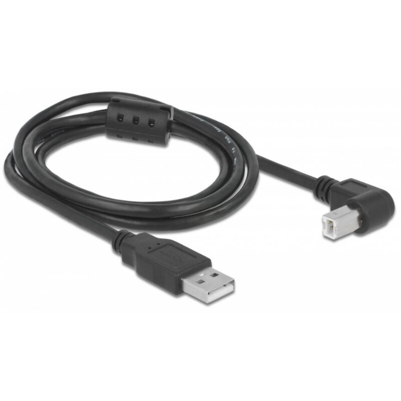 PegasusAstro Cavo Set cavi USB 2x USB2.0 Tipo B 1m