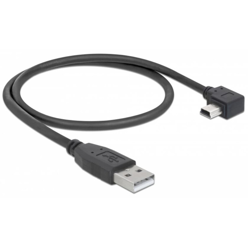 PegasusAstro Cavo Set cavi USB 2x USB2.0 Mini 50cm