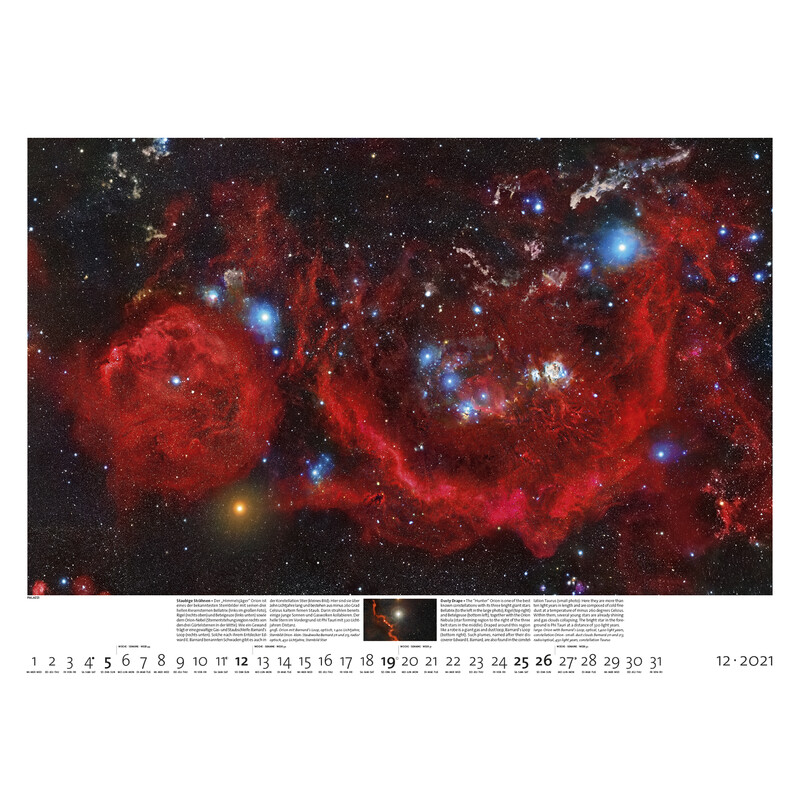Palazzi Verlag Calendario Sternzeit 2021
