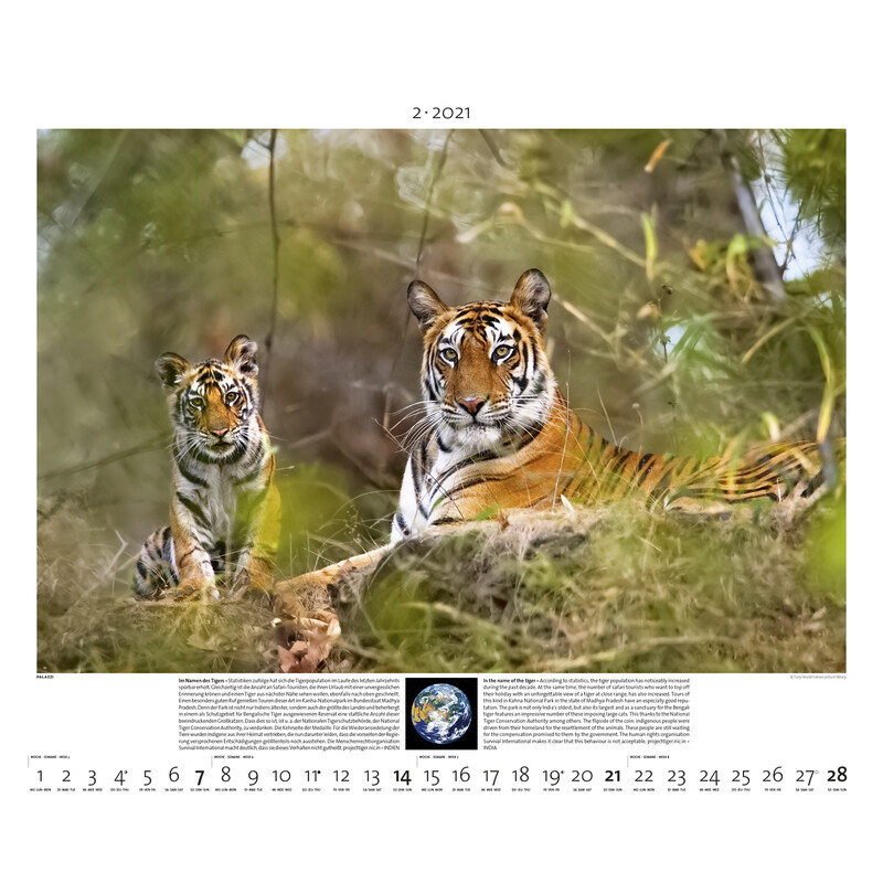 Palazzi Verlag Calendario Planet Erde 2021