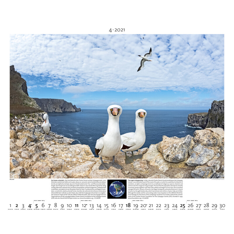 Palazzi Verlag Calendario Planet Erde 2021