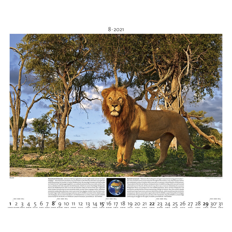 Palazzi Verlag Calendario Planet Erde 2021