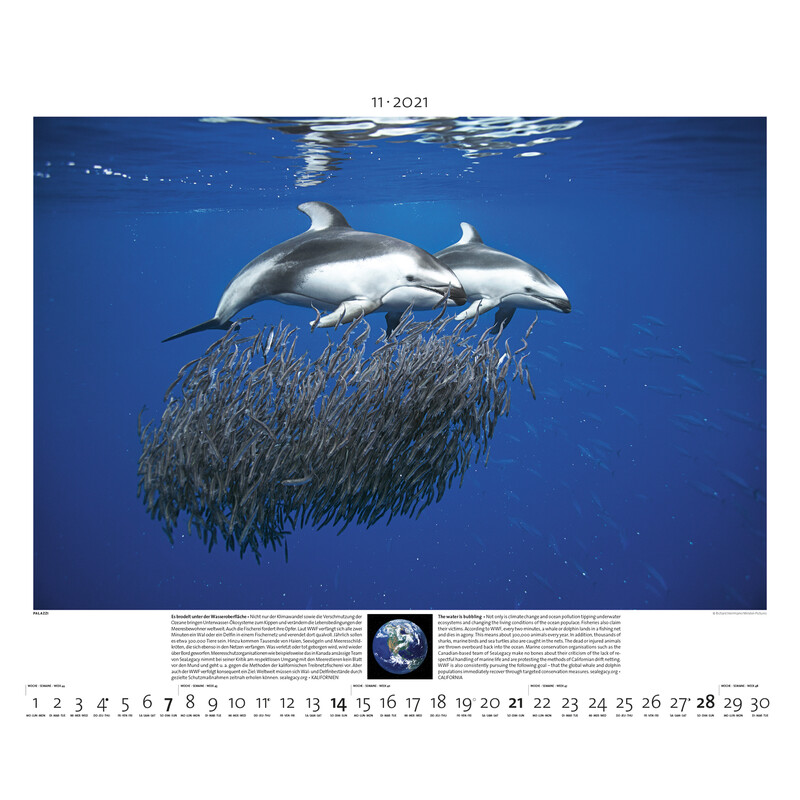 Palazzi Verlag Calendario Planet Erde 2021