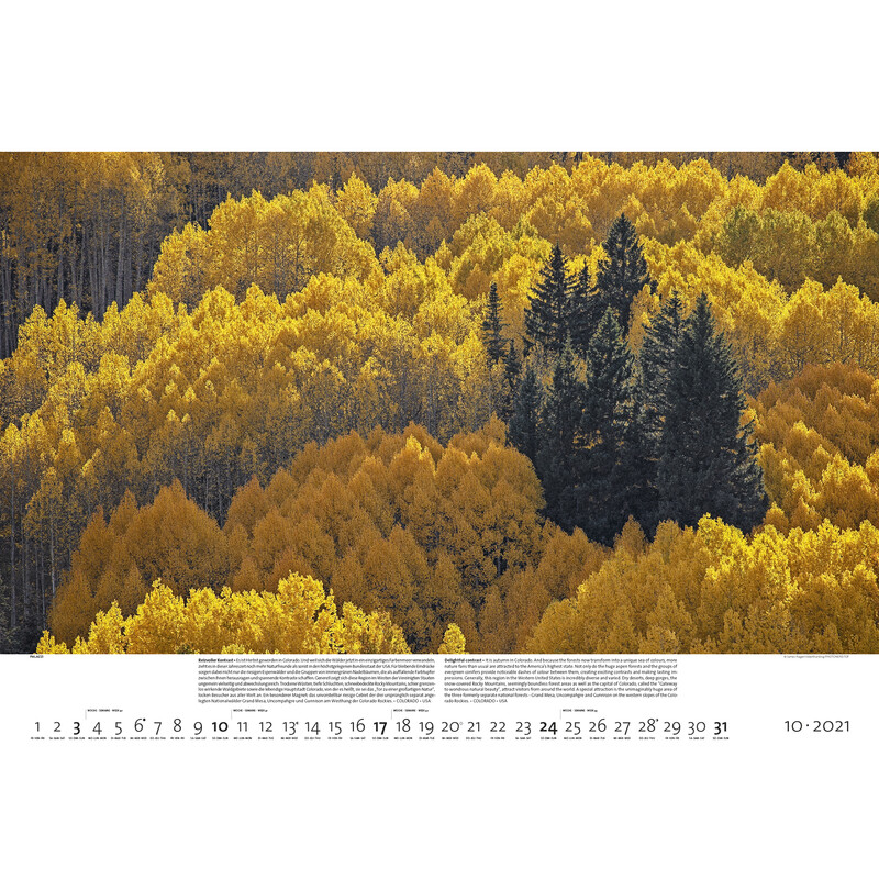Palazzi Verlag Calendario Wälder der Erde 2021