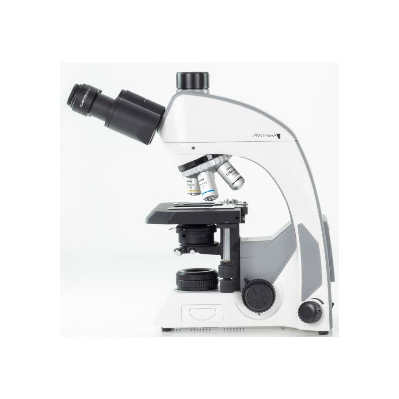 Motic Microscopio Panthera C, trino, infinito, piano, achro, 40x-1000x, Halogen