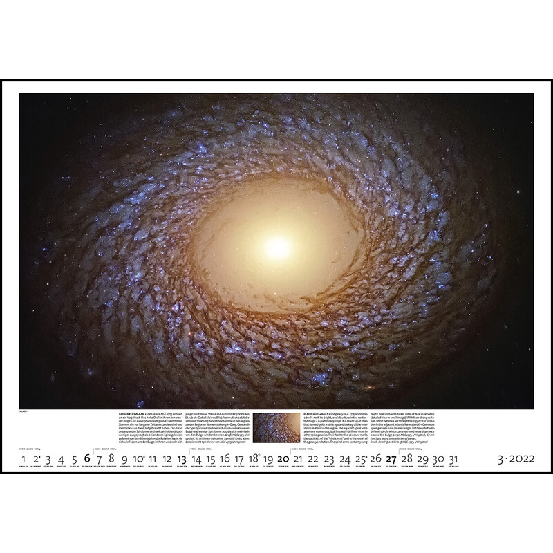 Palazzi Verlag Calendario Sternzeit 2022