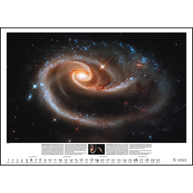 Palazzi Verlag Calendario Sternzeit 2022