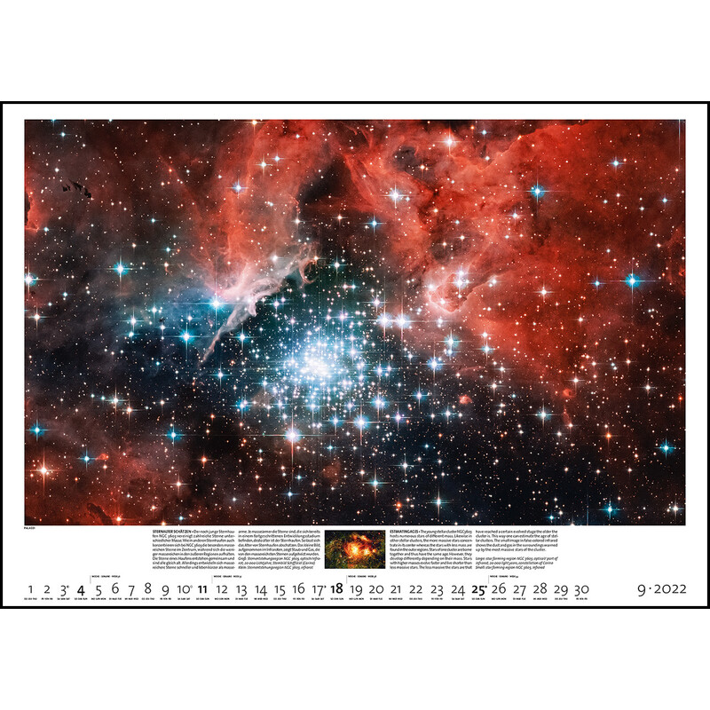 Palazzi Verlag Calendario Sternzeit 2022