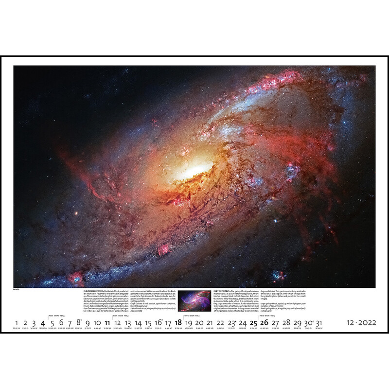 Palazzi Verlag Calendario Sternzeit 2022