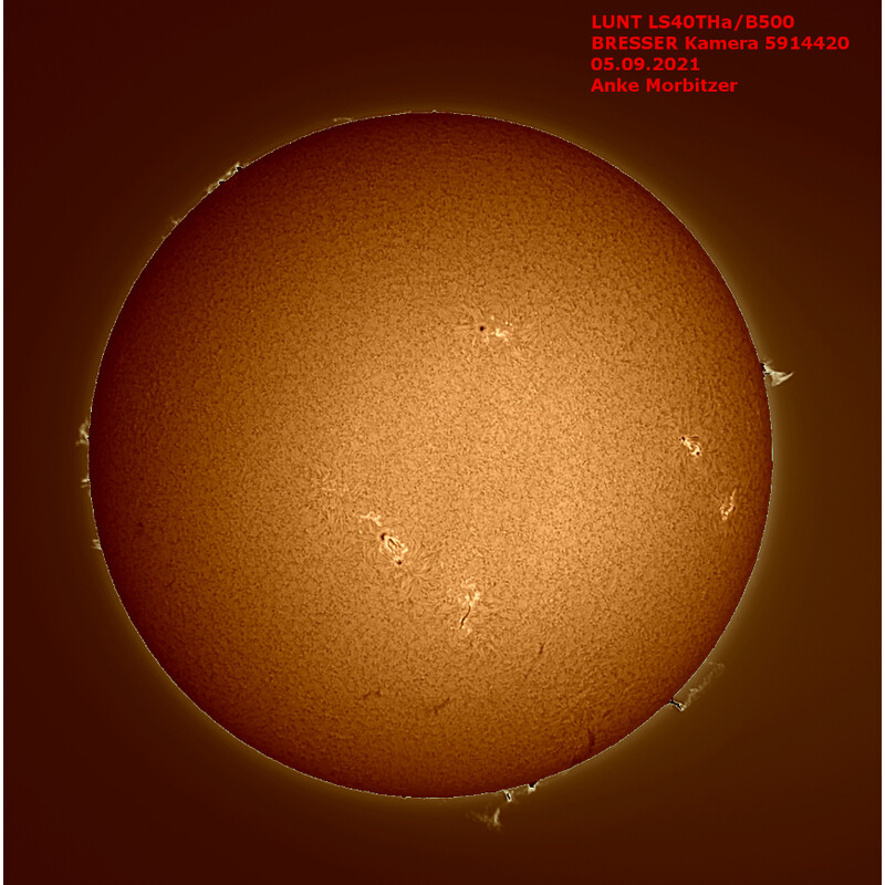 Lunt Solar Systems Telescopio Solare ST 40/400 LS40T Ha B1200
