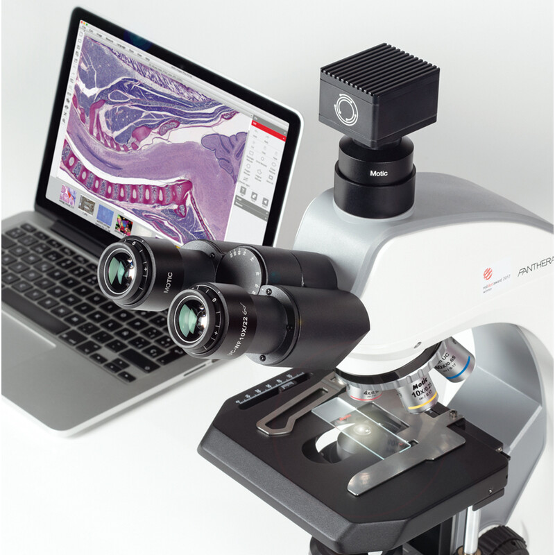 Motic Microscopio Panthera C2 Trinoculare, infinity, plan, achro, 40x-1000x, 10x/22mm, Halogen/LED