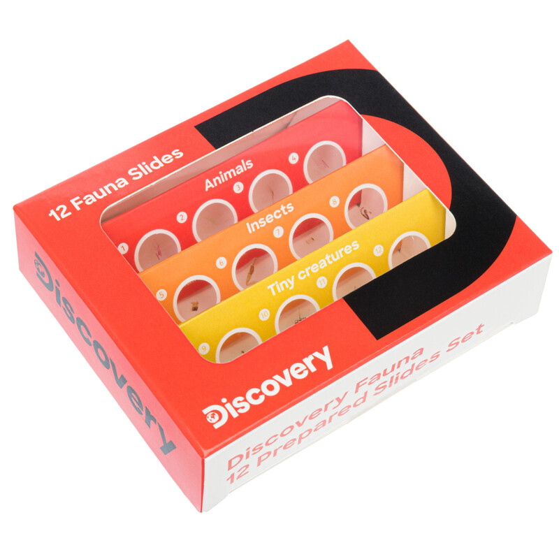 Discovery Set di campioni permanenti Fauna 12