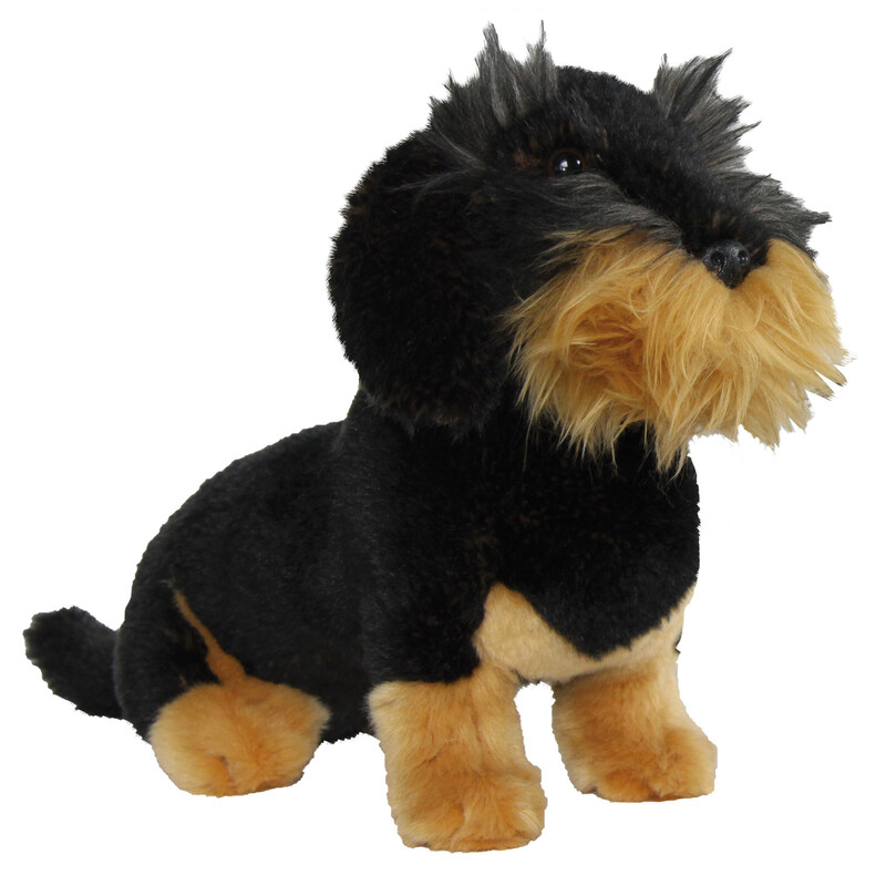 AKAH Teckel a pelo ruvido, seduto, piccolo, 23 cm
