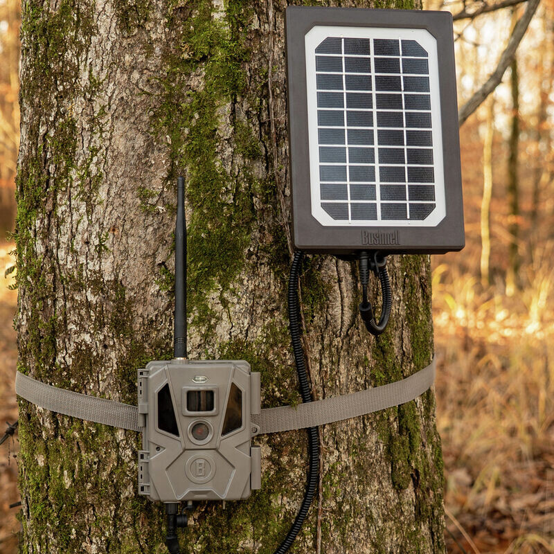 Bushnell Pannello solare Tan Universal, scatola