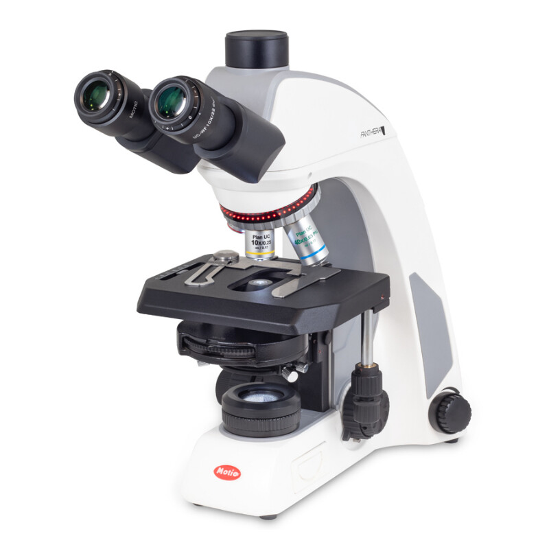 Motic Microscopio Panthera C2, pacchetto Phase, trino, infinity, plan, achro, 40x-400x, Halogen/LED