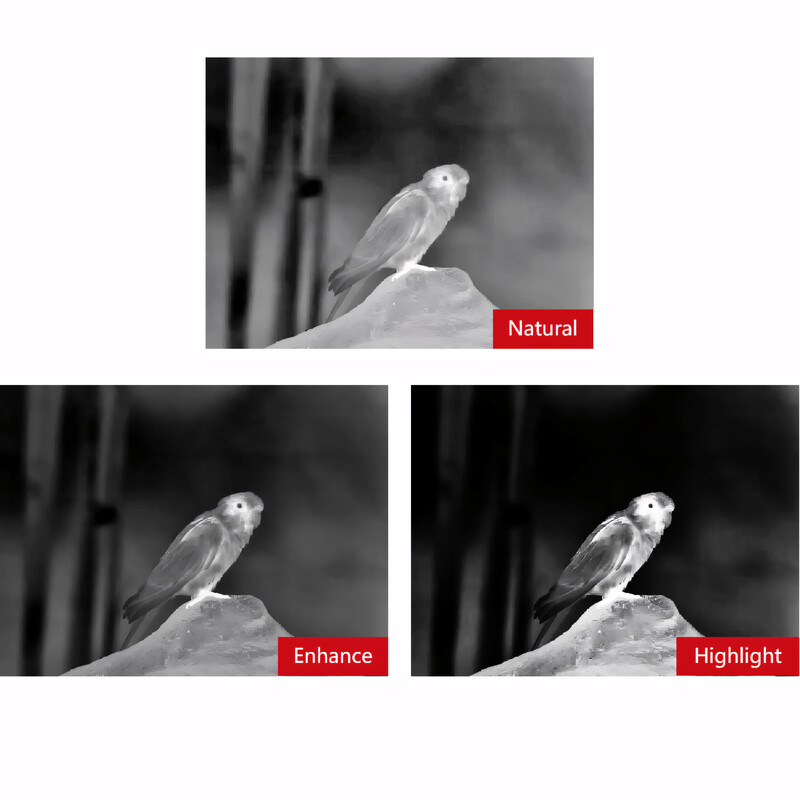 Guide Camera termica TN650