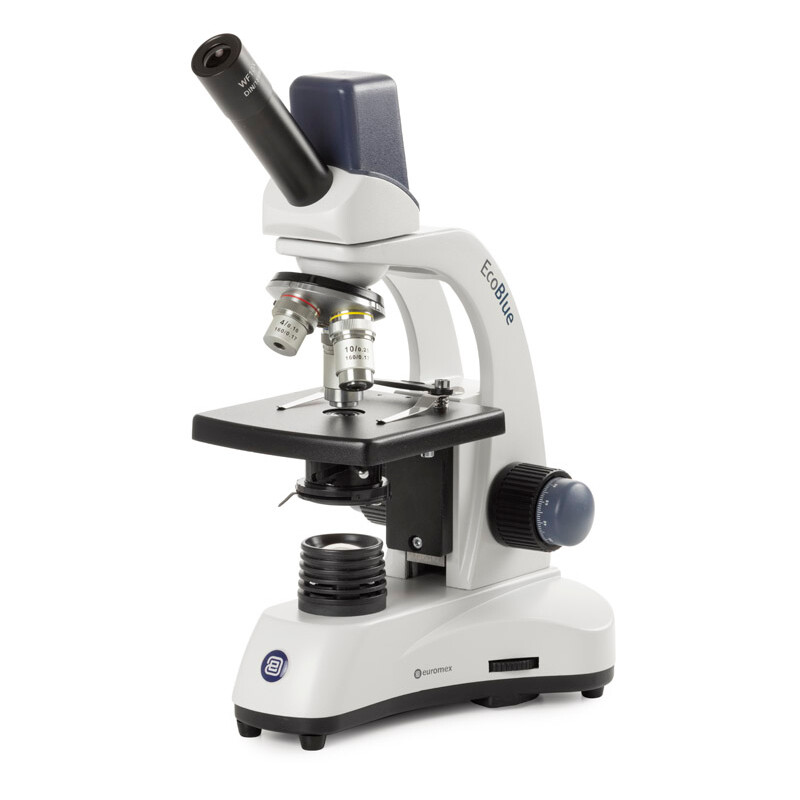 Euromex Microscopio EcoBlue EC.1005, mono, digitale, 5MP, achro. 40x, 100x, 400x, LED