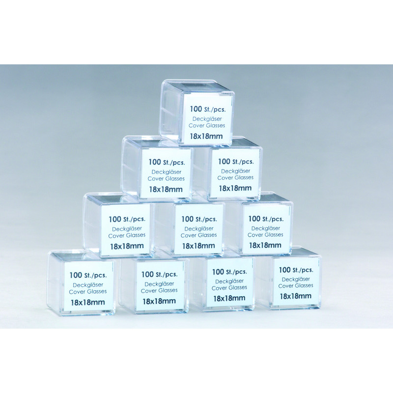 Windaus Vetrino coprioggetto, 100 pezzi, 24x32 mm